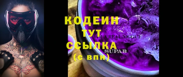 индика Арсеньев