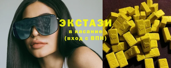 индика Арсеньев