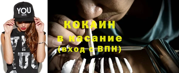индика Арсеньев
