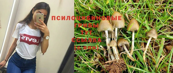 гашик Аркадак