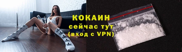 индика Арсеньев
