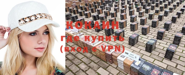 гашик Аркадак
