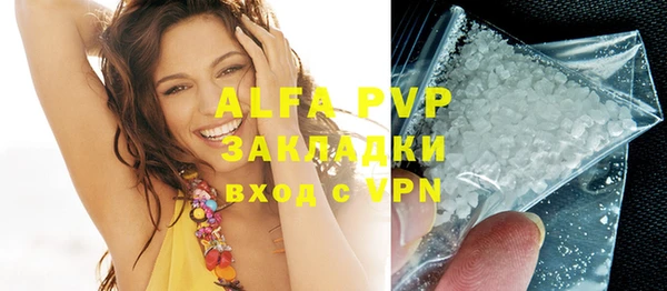 индика Арсеньев