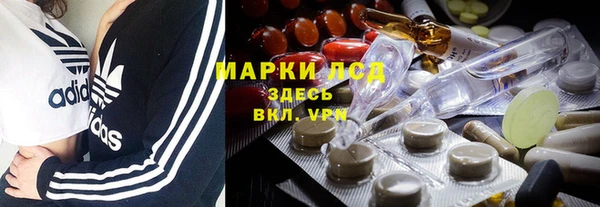 гашик Аркадак