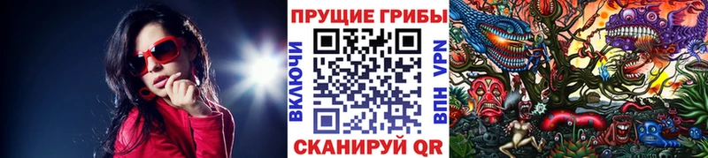 Галлюциногенные грибы Psilocybe  сколько стоит  Беслан 